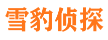 韶山市私家侦探